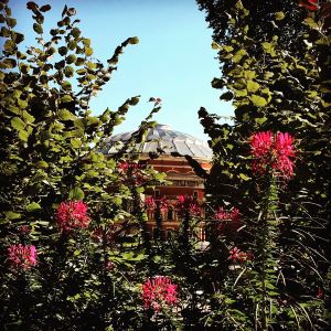 View of Royal Albert Hall, Kensington Gardens