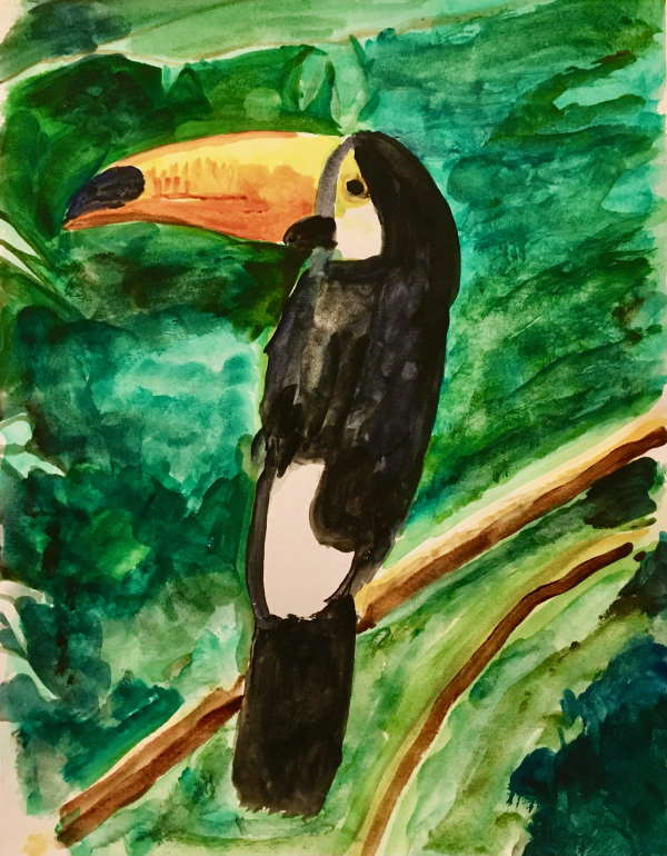 Alex Irvine's Toucan painting