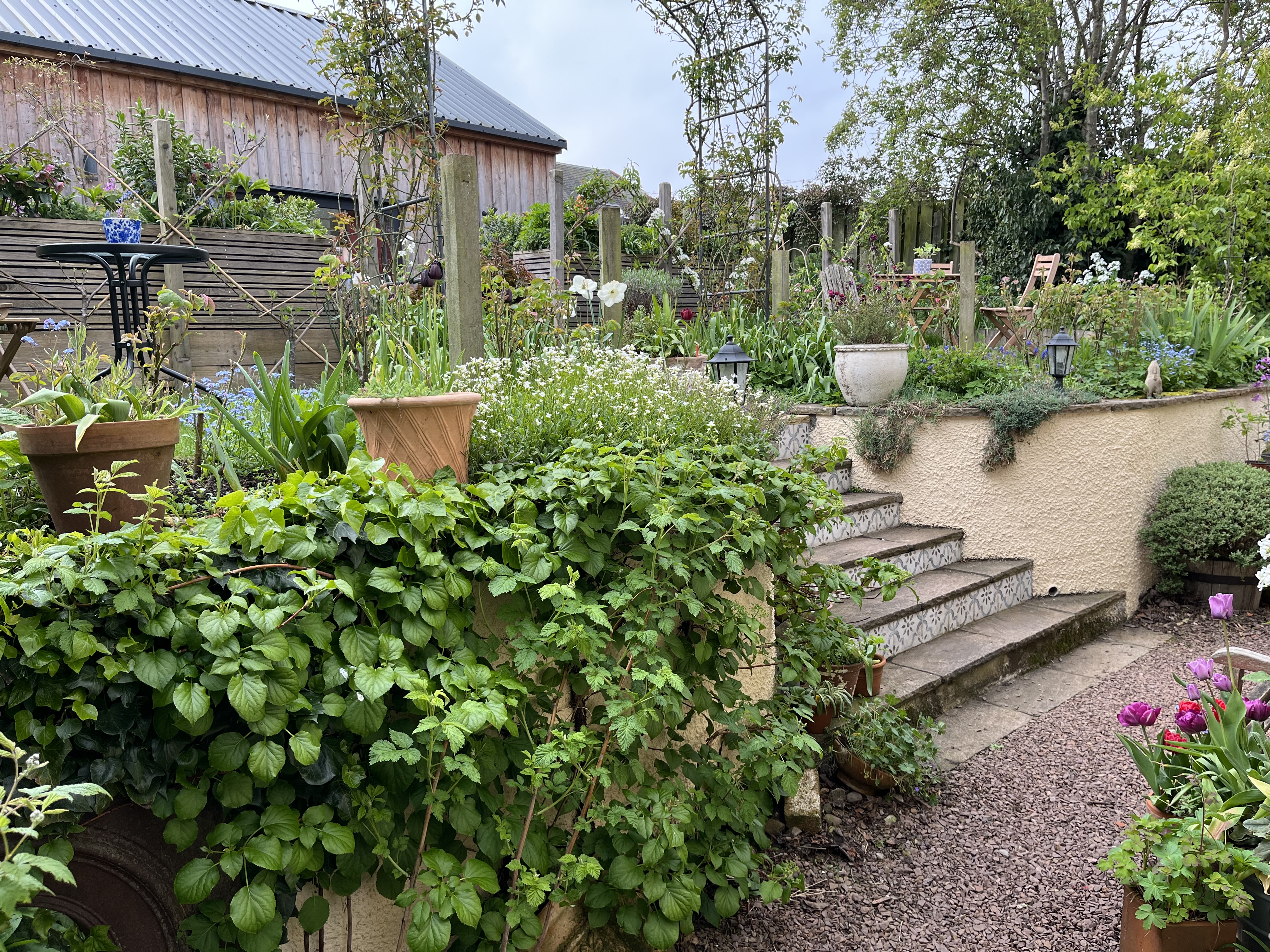 Mercat Cottage Garden - Apr 2026 - stairs