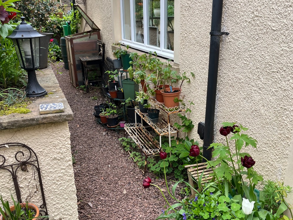 Mercat Cottage Garden - Apr 2026 - another side view