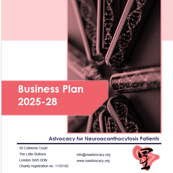 Business plan 2025-28 for NA Advocacy (cover of the document)