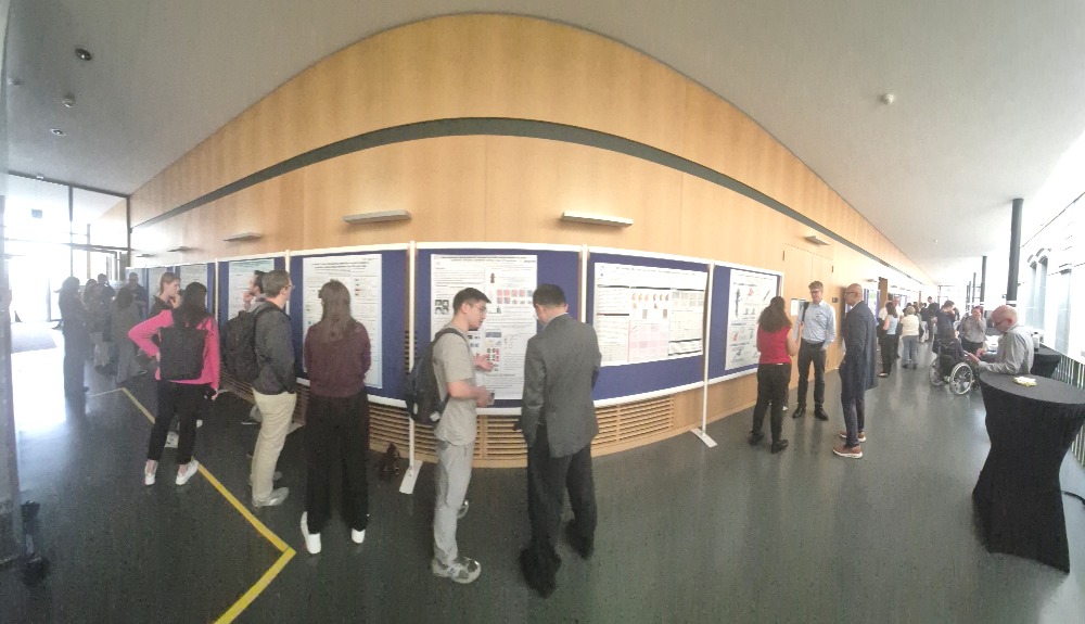 Day 1 & 2 - Poster viewings 