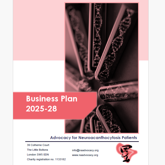 NA Advocacy - Three-year strategy cover