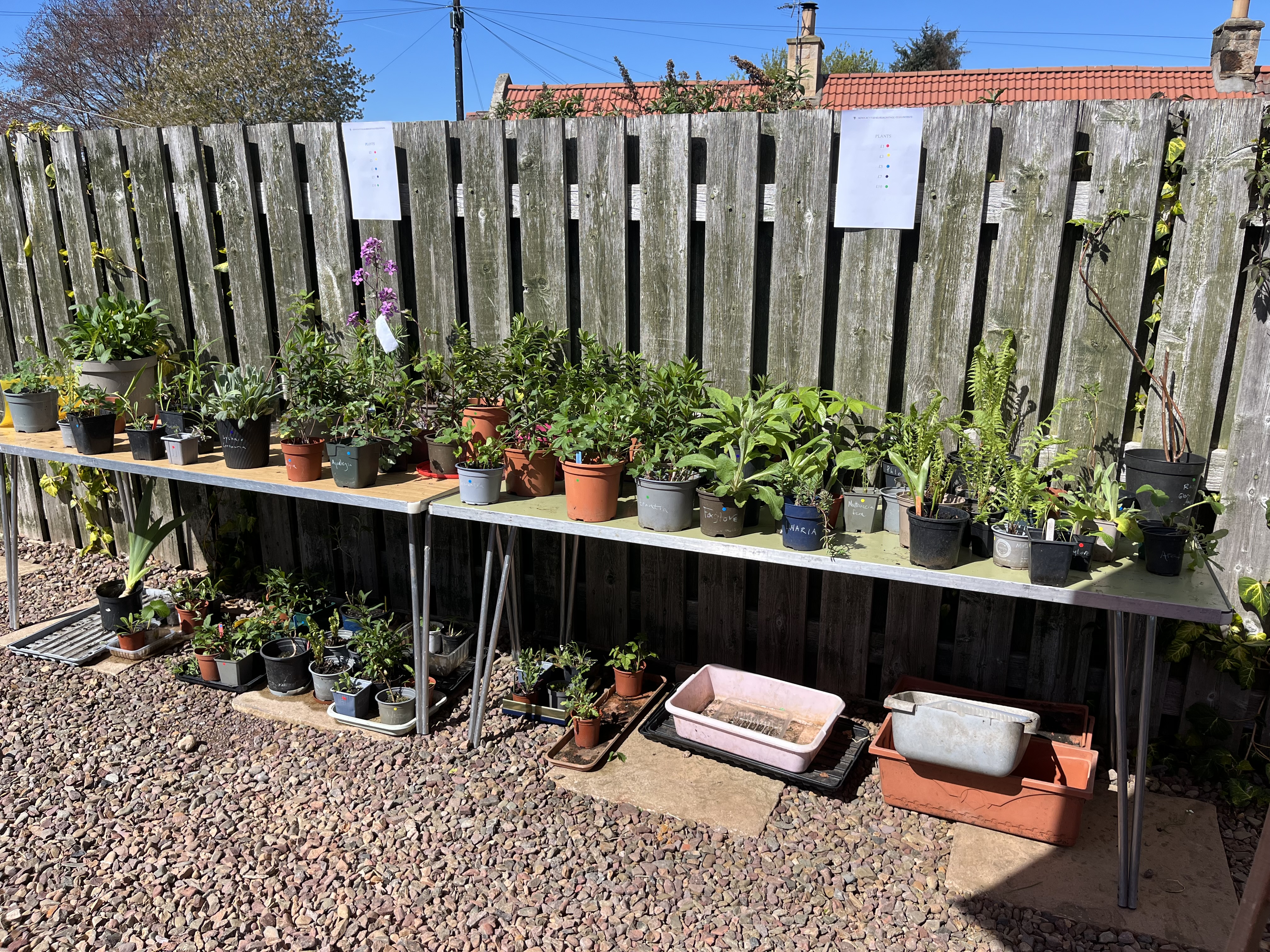 Mercat Cottage Garden - Apr 2026 - plant sale