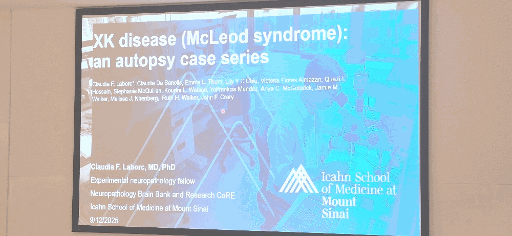 Day 1 - Poster presentations - Dr Claudia Laborc 