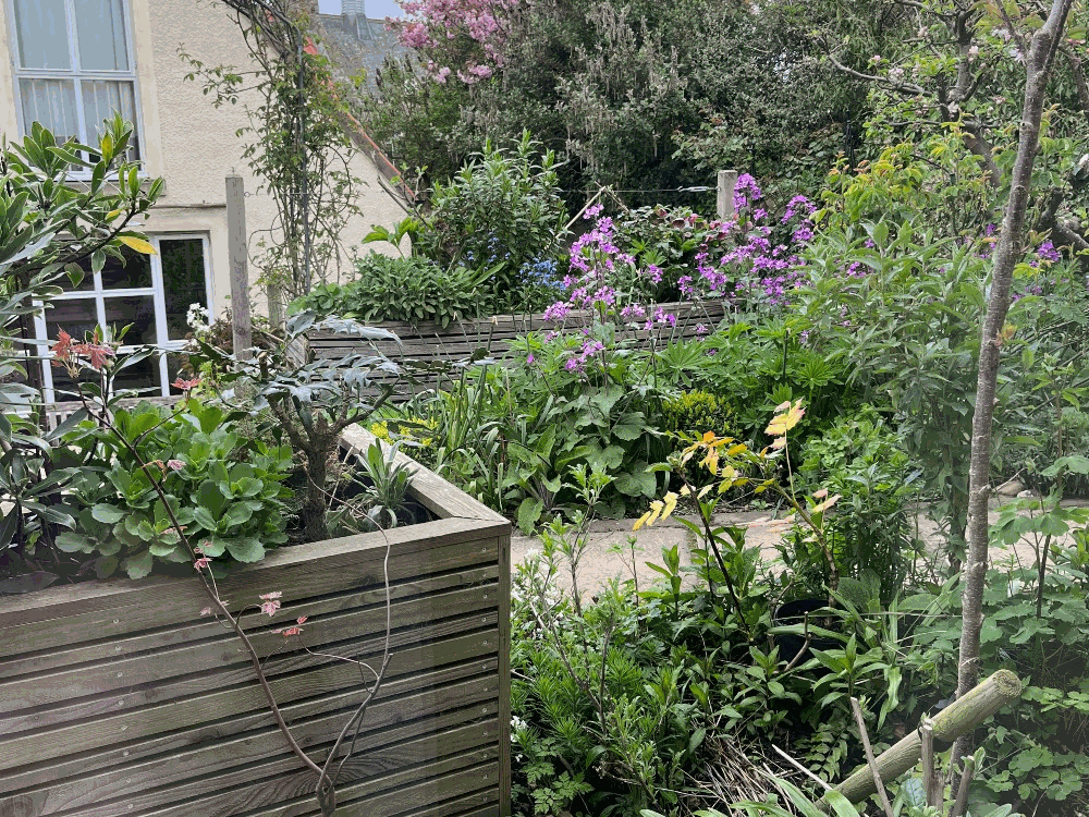Mercat Cottage Garden - Apr 2026