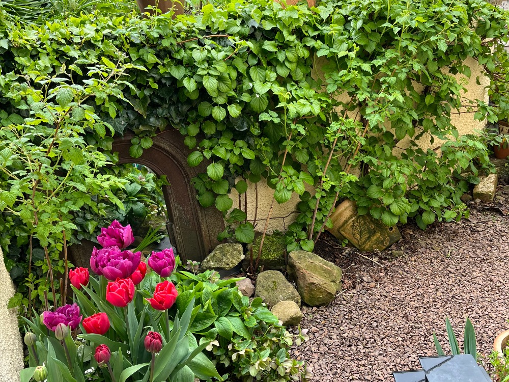 Mercat Cottage Garden - Apr 2026