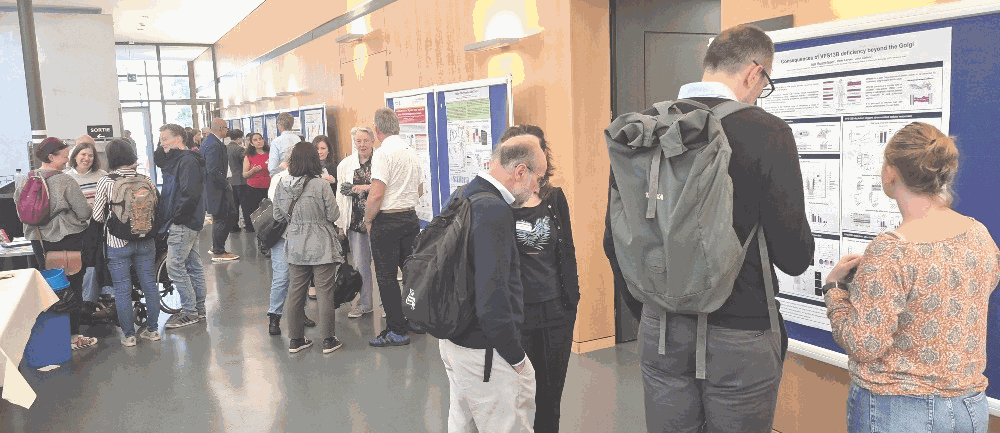 Day 1 & 2 - Poster viewings 