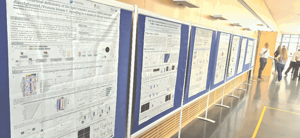 Day 1 & 2 - Poster viewings 