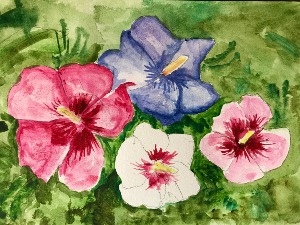 Watercolour painting,, colourful hollyhocks
