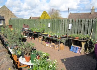 Mercat Cottage Garden 2012 - plant sale